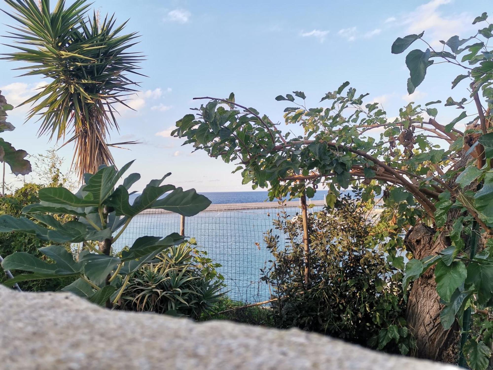 Loft Sul Mare Apartment Balestrate Exterior photo